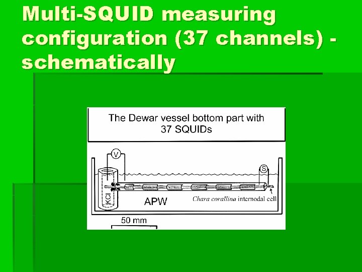 Multi-SQUID measuring configuration (37 channels) schematically 