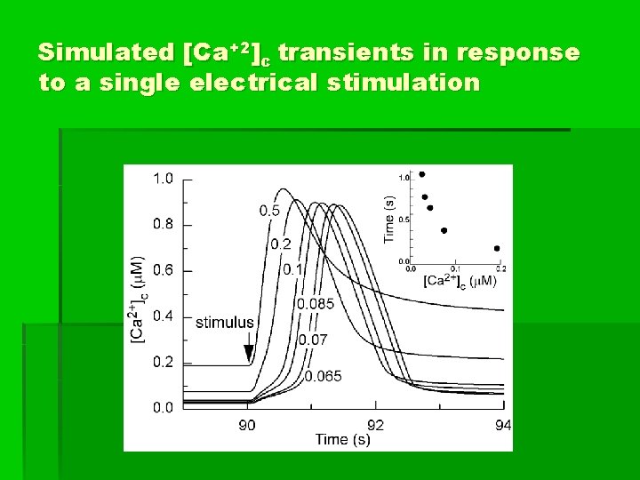 Simulated [Ca+2]c transients in response to a single electrical stimulation 