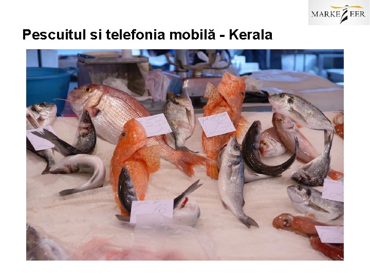 Pescuitul si telefonia mobilă - Kerala 