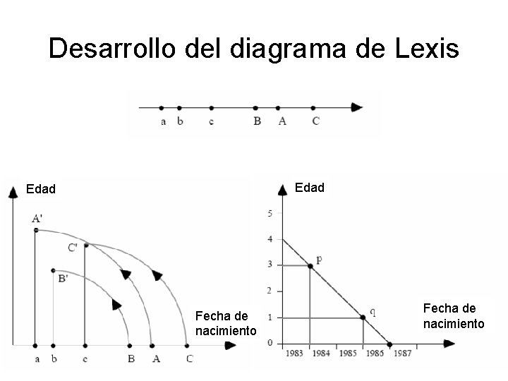 Desarrollo del diagrama de Lexis Edad Fecha de nacimiento 