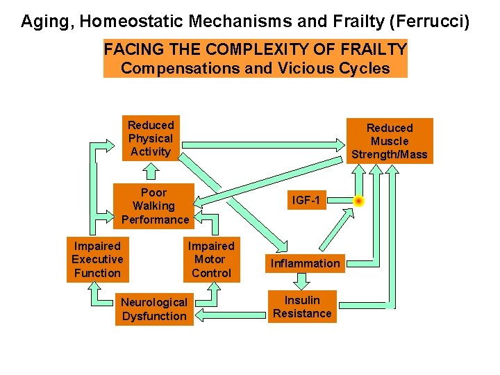 Aging, Homeostatic Mechanisms and Frailty (Ferrucci) FACING THE COMPLEXITY OF FRAILTY Compensations and Vicious