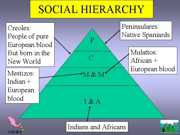 SOCIAL HIERARCHY Creoles: People of pure European blood But born in the New World