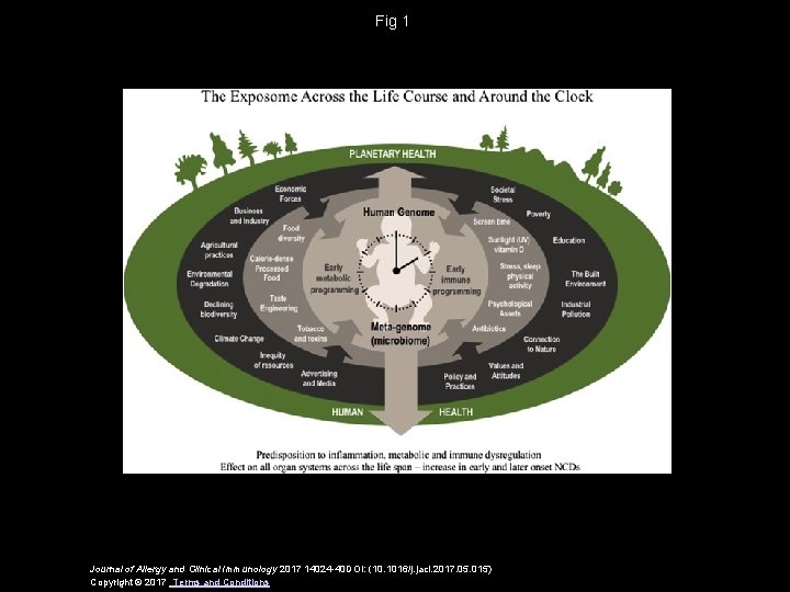 Fig 1 Journal of Allergy and Clinical Immunology 2017 14024 -40 DOI: (10. 1016/j.