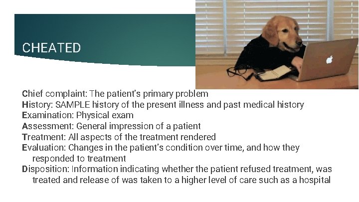 CHEATED Chief complaint: The patient’s primary problem History: SAMPLE history of the present illness