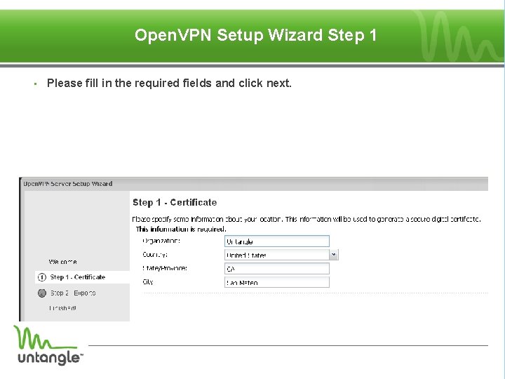 Open. VPN Setup Wizard Step 1 • Please fill in the required fields and