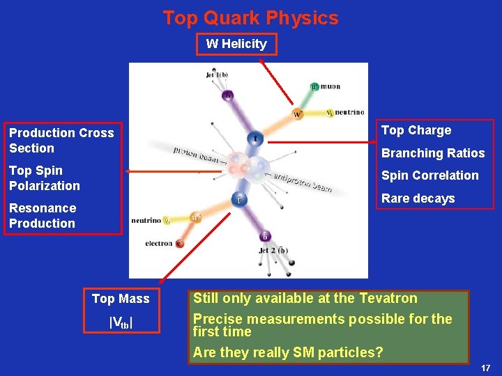 Top Quark Physics W Helicity Production Cross Section Top Charge Top Spin Polarization Spin