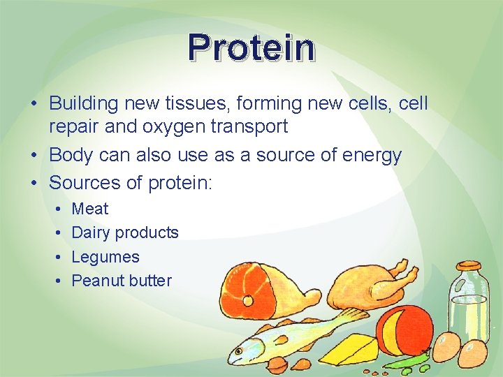 Protein • Building new tissues, forming new cells, cell repair and oxygen transport •