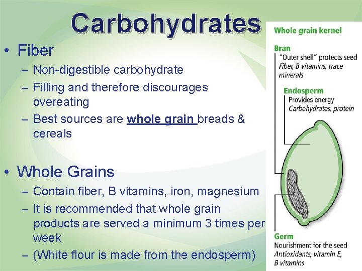 Carbohydrates • Fiber – Non-digestible carbohydrate – Filling and therefore discourages overeating – Best