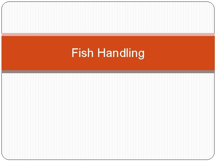 Fish Handling 