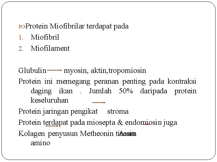  Protein Miofibrilar terdapat pada Miofibril 2. Miofilament 1. Glubulin myosin, aktin, tropomiosin Protein