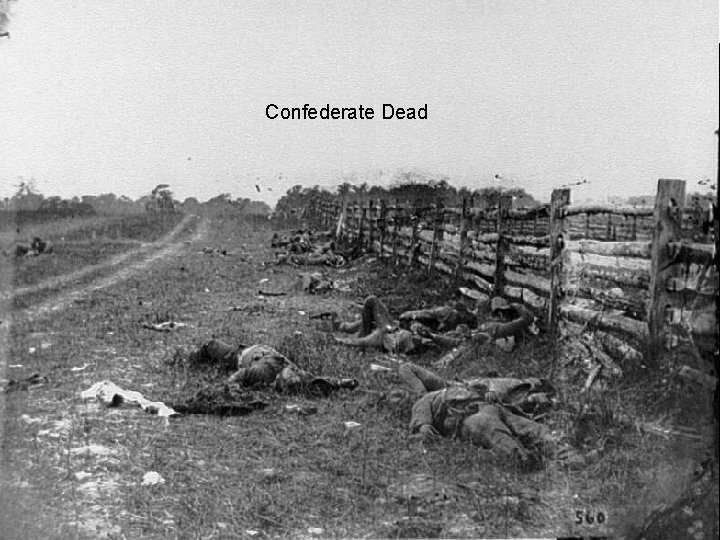 Confederate Dead 