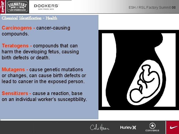 ESH / RSL Factory Summit 08 Chemical Identification - Health Carcinogens - cancer-causing compounds.