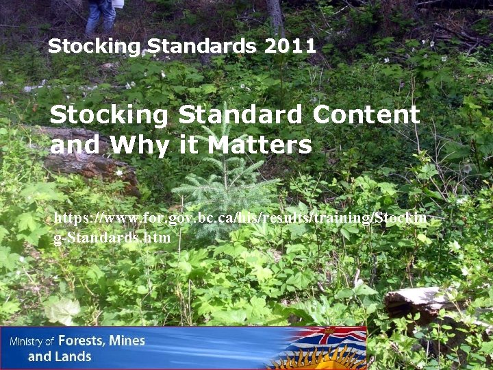 Stocking Standards 2011 Stocking Standard Content and Why it Matters https: //www. for. gov.
