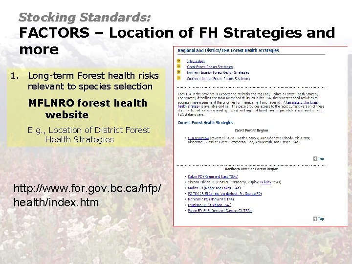Stocking Standards: FACTORS – Location of FH Strategies and more 1. Long-term Forest health