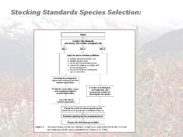 Stocking Standards Species Selection: 