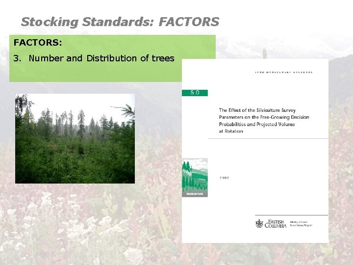 Stocking Standards: FACTORS: 3. Number and Distribution of trees 