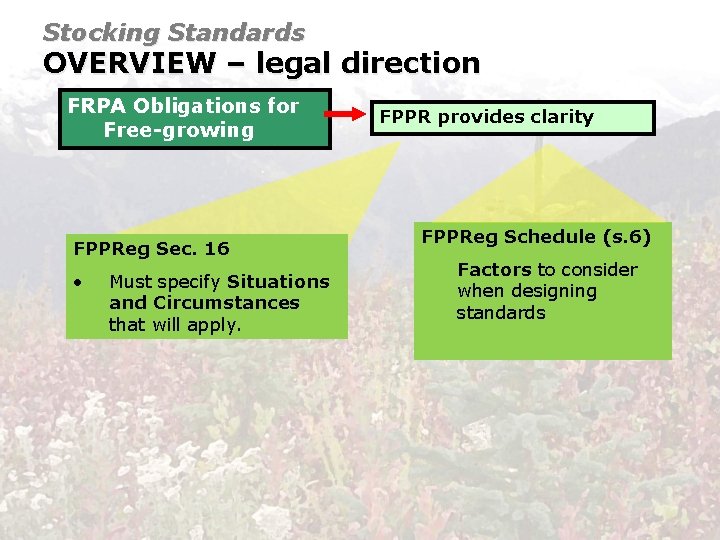 Stocking Standards OVERVIEW – legal direction FRPA Obligations for Free-growing FPPReg Sec. 16 •