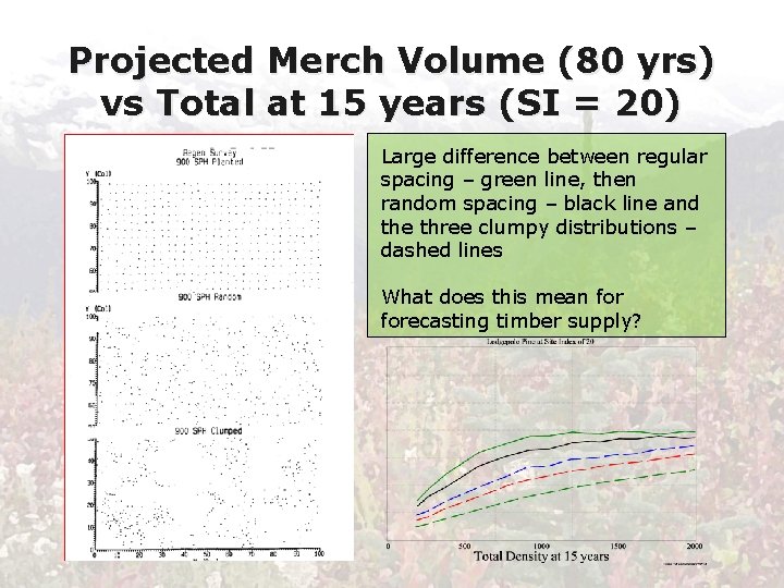 Projected Merch Volume (80 yrs) vs Total at 15 years (SI = 20) Large