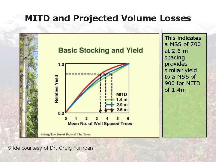 MITD and Projected Volume Losses This indicates a MSS of 700 at 2. 6