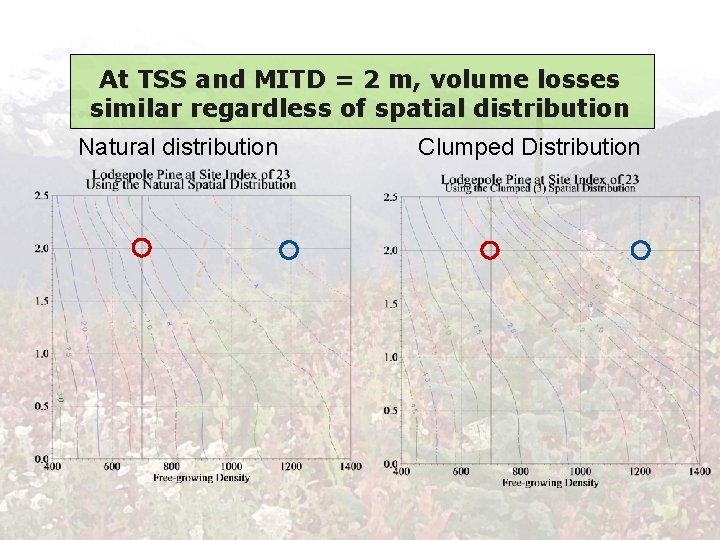 At TSS and MITD = 2 m, volume losses similar regardless of spatial distribution