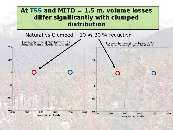 At TSS and MITD = 1. 5 m, volume losses differ significantly with clumped