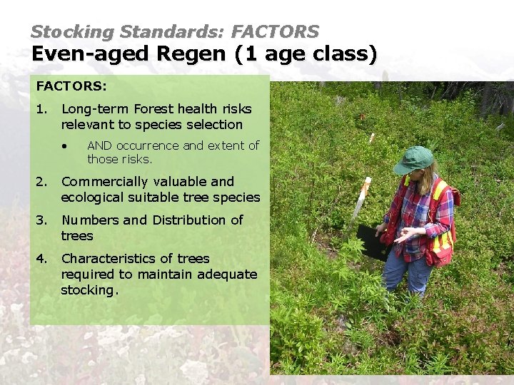 Stocking Standards: FACTORS Even-aged Regen (1 age class) FACTORS: 1. Long-term Forest health risks