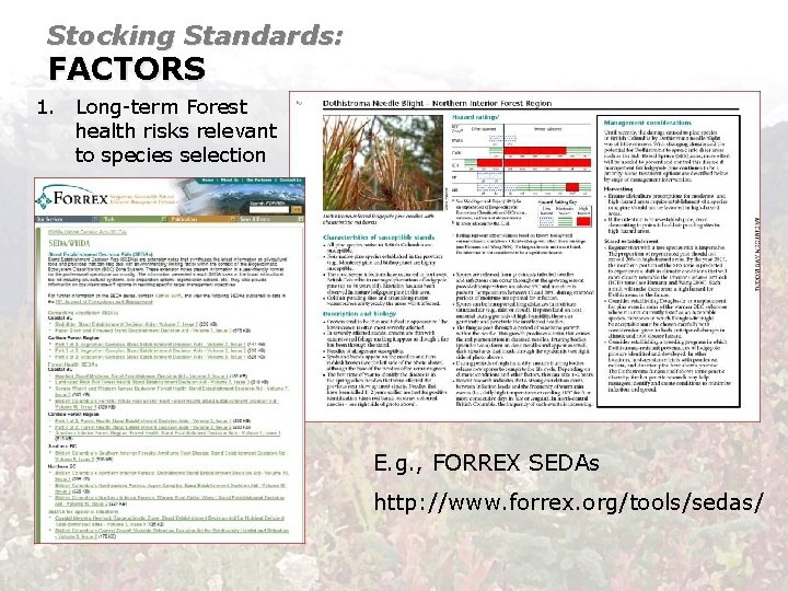 Stocking Standards: FACTORS 1. Long-term Forest health risks relevant to species selection E. g.