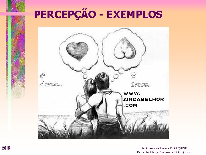 PERCEPÇÃO - EXEMPLOS 2015 Dr. Ademir de Lucas - ESALQ/USP Profa Dra Marly T