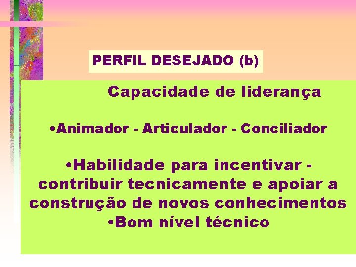 PERFIL DESEJADO (b) Capacidade de liderança • Animador - Articulador - Conciliador • Habilidade