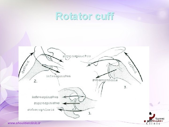 Rotator cuff 