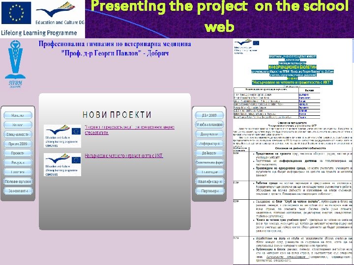 Presenting the project on the school web 