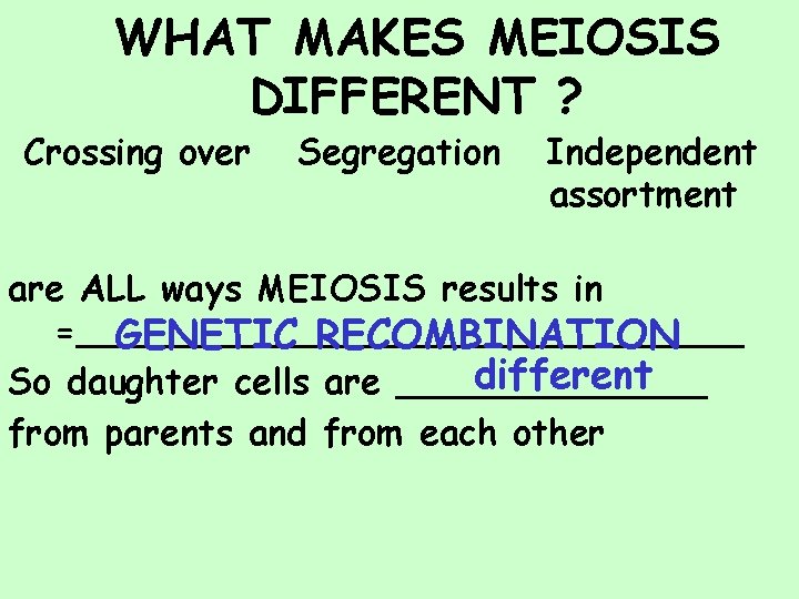WHAT MAKES MEIOSIS DIFFERENT ? Crossing over Segregation Independent assortment are ALL ways MEIOSIS