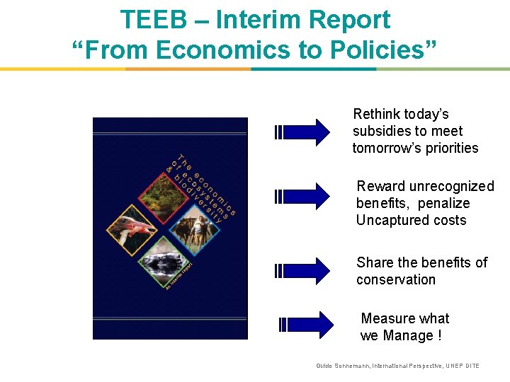 TEEB – Interim Report “From Economics to Policies” Rethink today’s subsidies to meet tomorrow’s