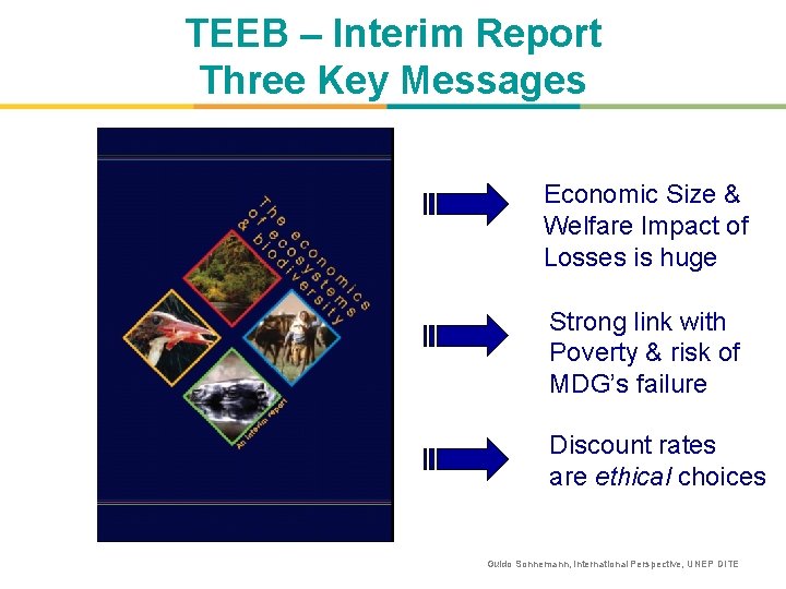 TEEB – Interim Report Three Key Messages Economic Size & Welfare Impact of Losses