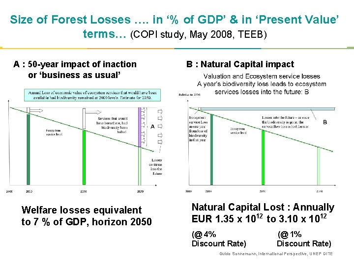 Size of Forest Losses …. in ‘% of GDP’ & in ‘Present Value’ terms…