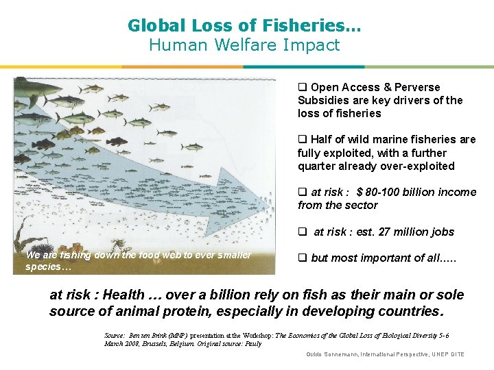 Global Loss of Fisheries… Human Welfare Impact q Open Access & Perverse Subsidies are