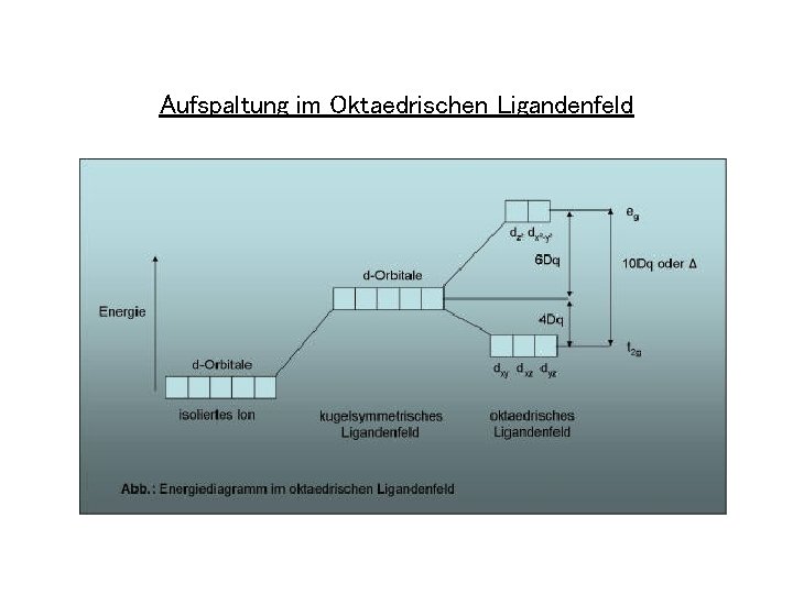 Aufspaltung im Oktaedrischen Ligandenfeld 