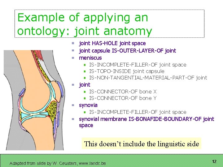 Example of applying an ontology: joint anatomy joint HAS-HOLE joint space joint capsule IS-OUTER-LAYER-OF