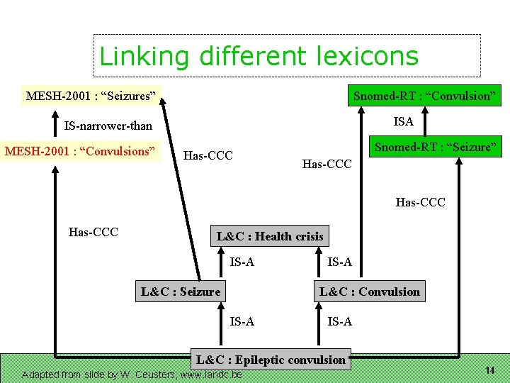 Linking different lexicons MESH-2001 : “Seizures” Snomed-RT : “Convulsion” ISA IS-narrower-than MESH-2001 : “Convulsions”