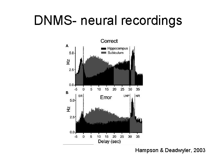 DNMS- neural recordings Hampson & Deadwyler, 2003 