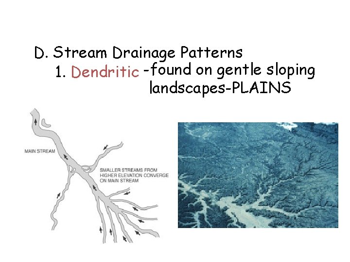 D. Stream Drainage Patterns 1. Dendritic -found on gentle sloping landscapes-PLAINS 