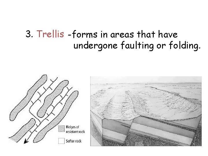 3. Trellis -forms in areas that have undergone faulting or folding. 