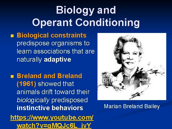 Biology and Operant Conditioning n Biological constraints predispose organisms to learn associations that are