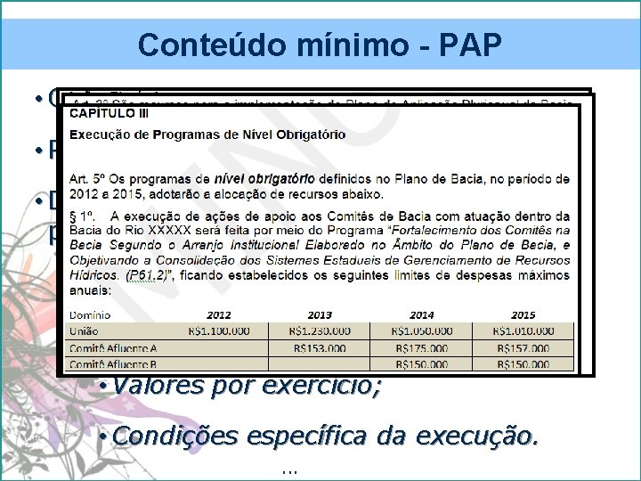 Conteúdo mínimo - PAP • Objetivos; • Recursos disponíveis (origem) • Definição dos programas