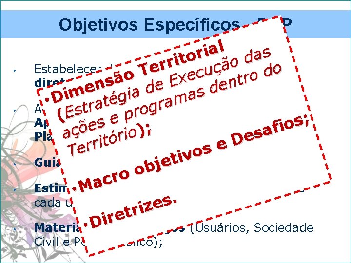 Objetivos Específicos - PAP • • • l a i s r a o