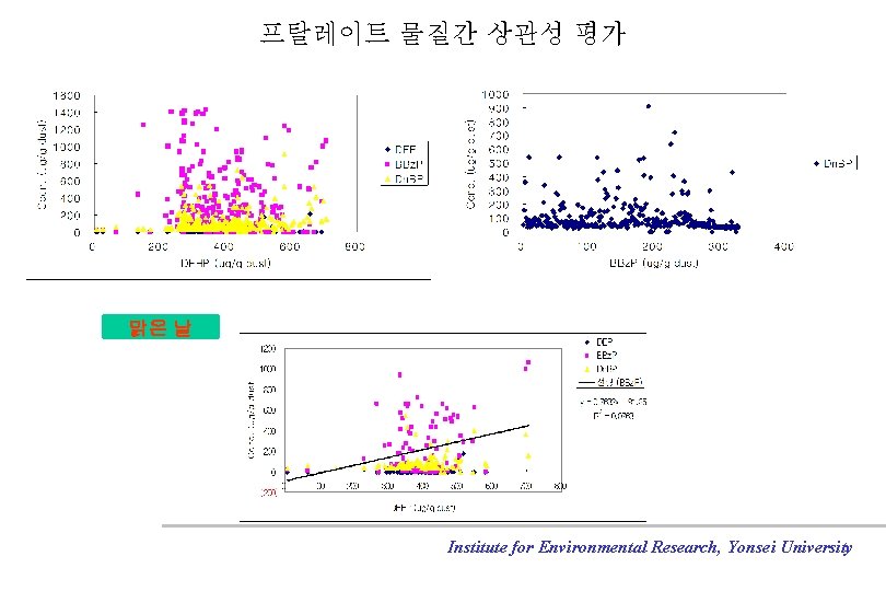 프탈레이트 물질간 상관성 평가 맑은 날 Institute for Environmental Research, Yonsei University 