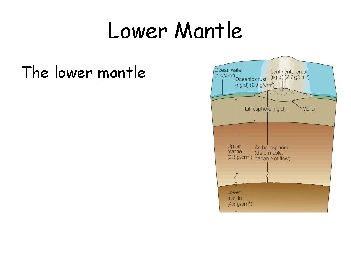 Lower Mantle The lower mantle 