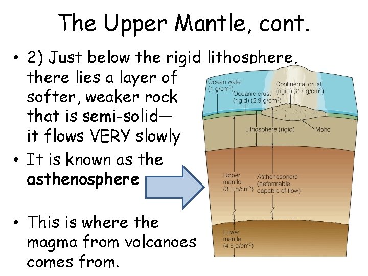 The Upper Mantle, cont. • 2) Just below the rigid lithosphere, there lies a