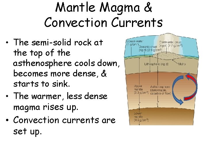 Mantle Magma & Convection Currents • The semi-solid rock at the top of the