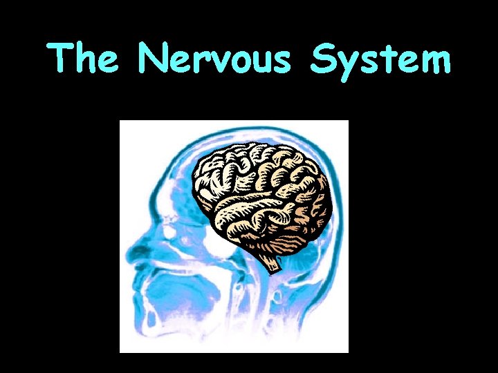 The Nervous System 